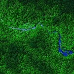 Exploradores descobrem grande cidade perdida em floresta de Honduras